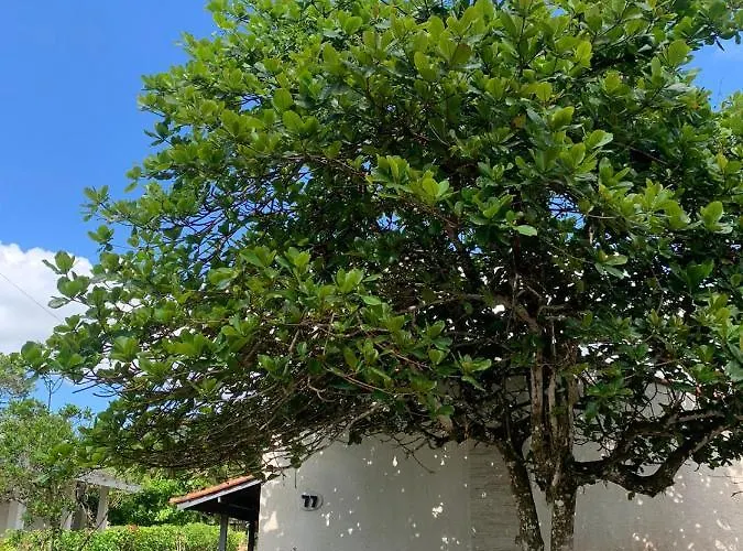 Casa Da Dona Ruth